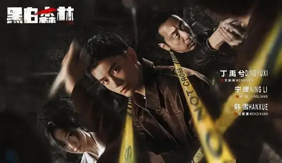 黑白森林电视剧什么时候播出？播出时间介绍