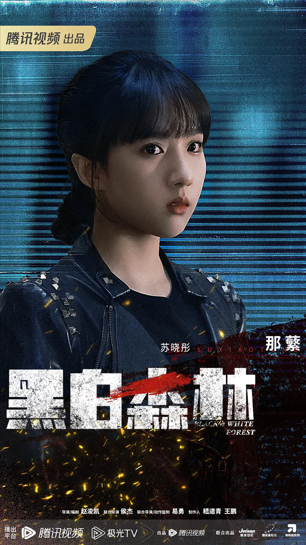 黑白森林电视剧演员表，黑白森林演员名单