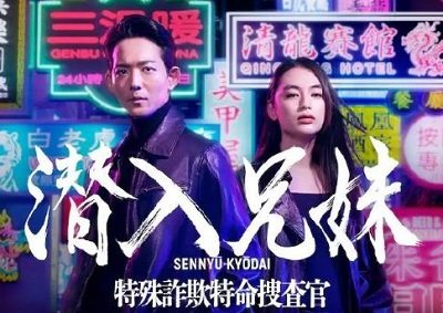 日剧《潜入兄妹特殊诈欺特命搜查官》演员表，演员名单介绍