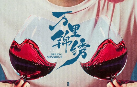 万里锦绣电视剧讲的是什么,万里锦绣剧情简介