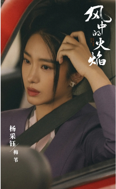 风中的火焰什么时候播出，风中的火焰剧情介绍