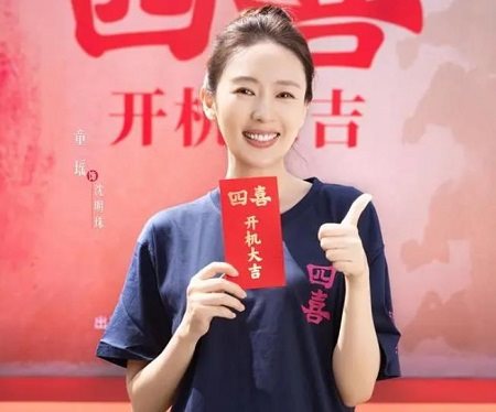 电视剧《四喜》角色介绍，《四喜》演员表介绍