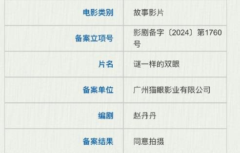 电影《谜一样的双眼》剧情介绍，故事梗概