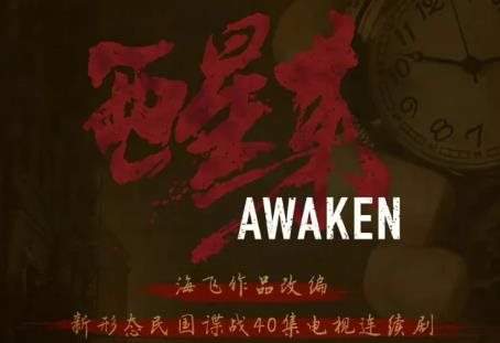 《醒来》电视剧剧情介绍,《醒来》故事梗概