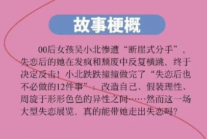 《失恋后也不必做的12件事》电影主演有谁，演员表介绍
