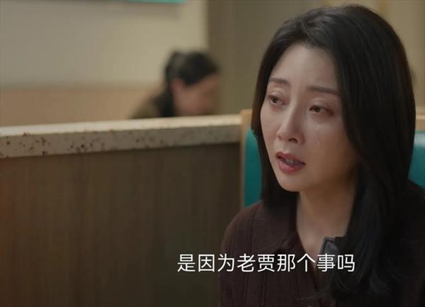 《凡人歌》胡海莉为什么不喜欢沈琳？相关剧情介绍